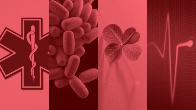 Kontor hos NOVI Medi Park ved det nye NAU